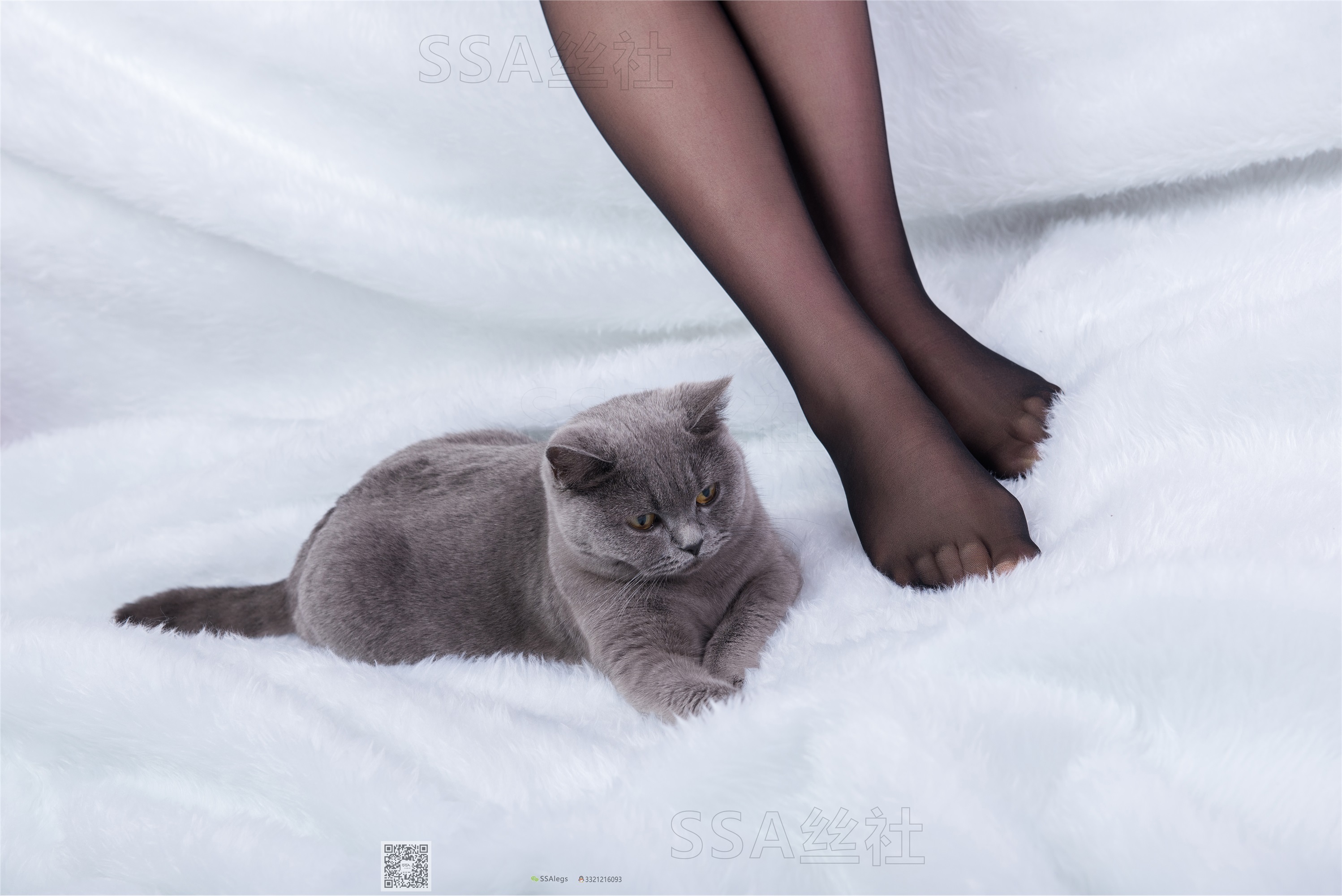 SSA丝社 超清写真 NO.069 云云 复古旗袍黑丝穿搭示范